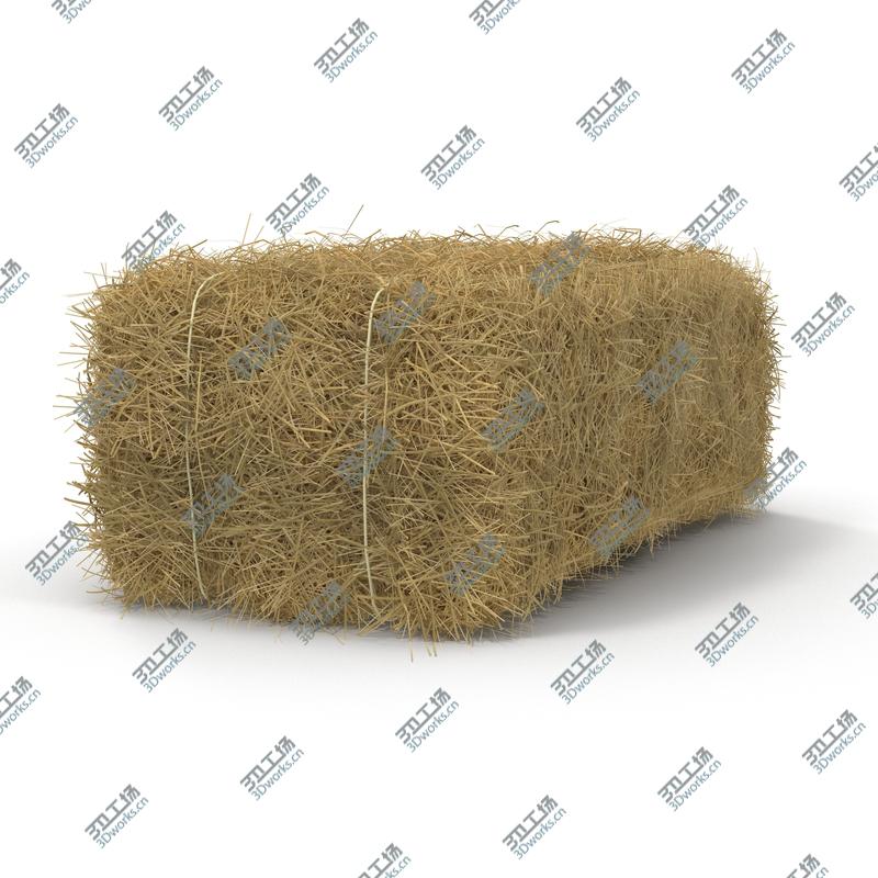 images/goods_img/2021040162/Hay Bale/2.jpg